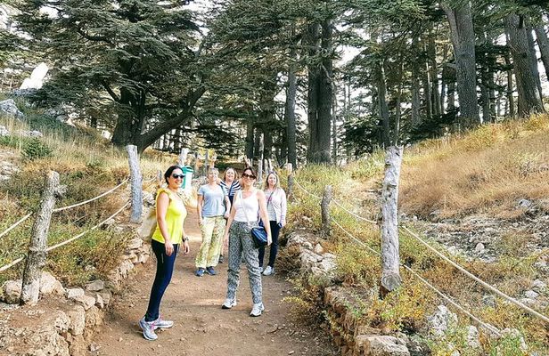 Small-Group Tour with Lunch to Qadisha Valley, Bcharre and Cedars
