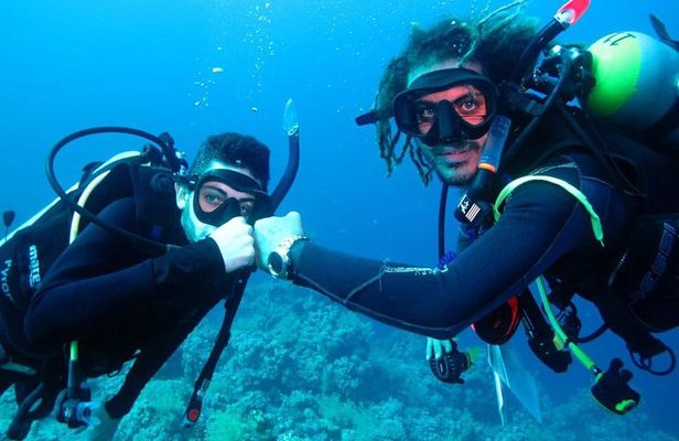PADI Open Water Diver Course