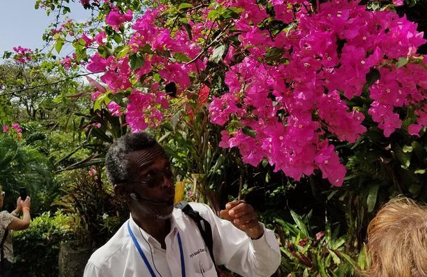 The Grand Tour of St. Kitts