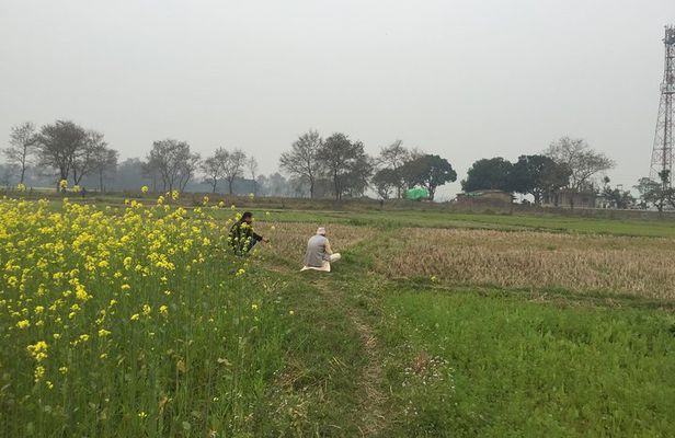 Full Day Lumbini Tour 