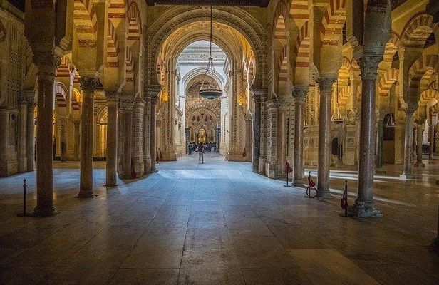Guided tour of the Mosque with entrance included