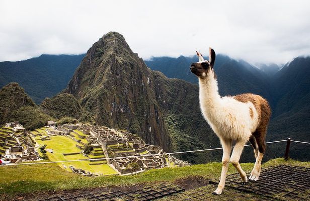 Private Tour 4-Day: Cusco || MachuPicchu || Rainbow Mountain ||