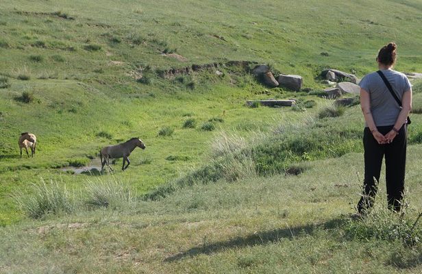 Authentic Mongolian two days tours in Terelj & Khustai National P