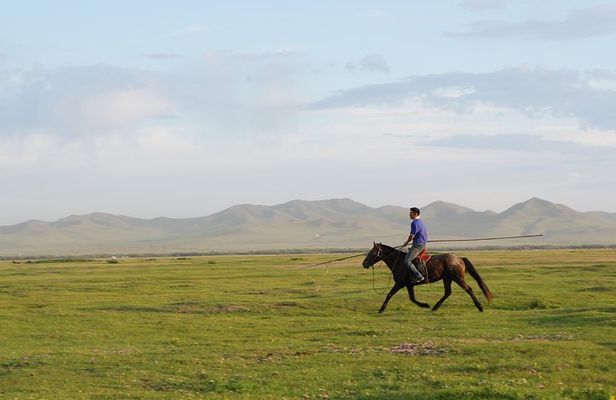 Authentic Mongolian two days tours in Terelj & Khustai National P