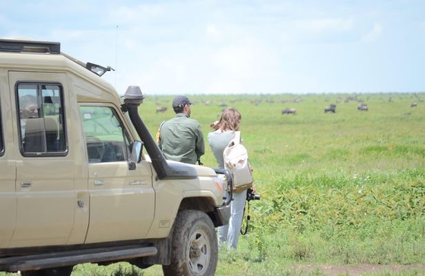 3 Days private safari Tarangire ,Ngorongroro crater &Manyara