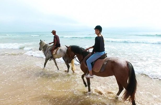 Camel riding and sunset