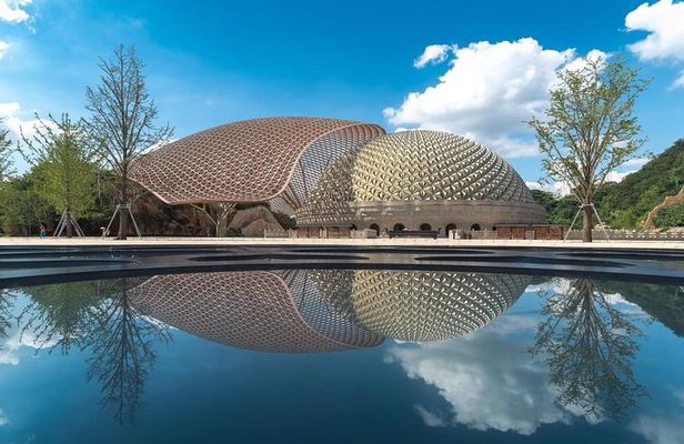 Nanjing private day tour with Xuanwu Lake, Niushoushan & Confucian Temple Area