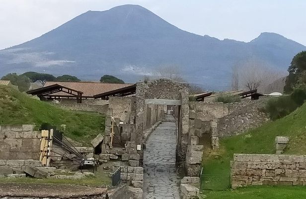 Private Archaeologist service to explore Pompeii's secrets any time ticket incl.