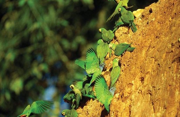 5 Day - Refugio Amazonas Classic Program - Group Service