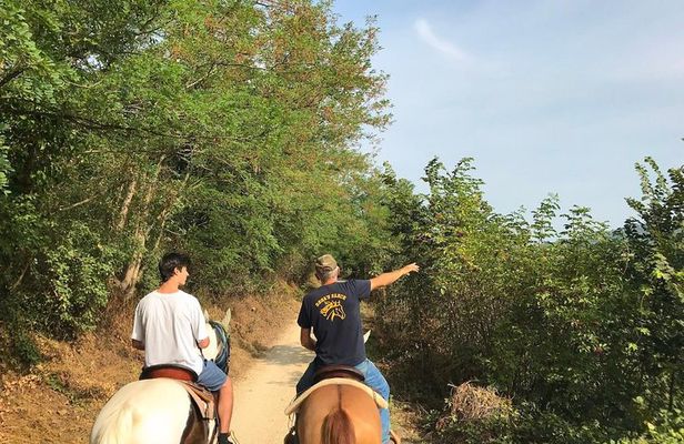 Horseback riding and wine tasting