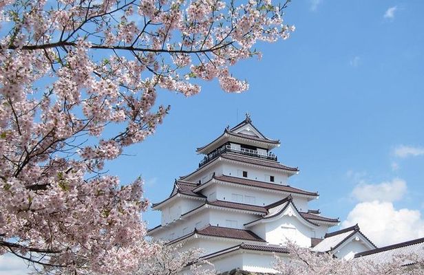 Aizu 6hr Private Tour with Government-Licensed Guide