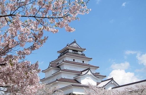 Aizu 4hr Private Tour with Government-Licensed Guide