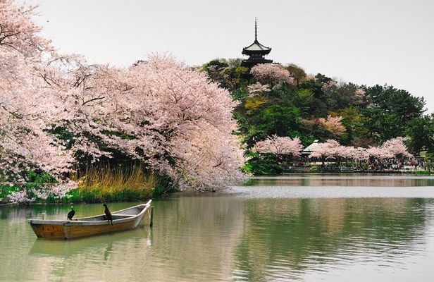 Yokohama Private Customizable Half Day Tour