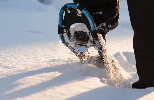 Snowshoeing in the Arctic Circle Wilderness