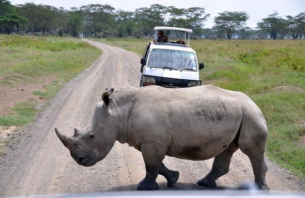 Nairobi National Park, Giraffe center & Beads Factory Guided Day Tour
