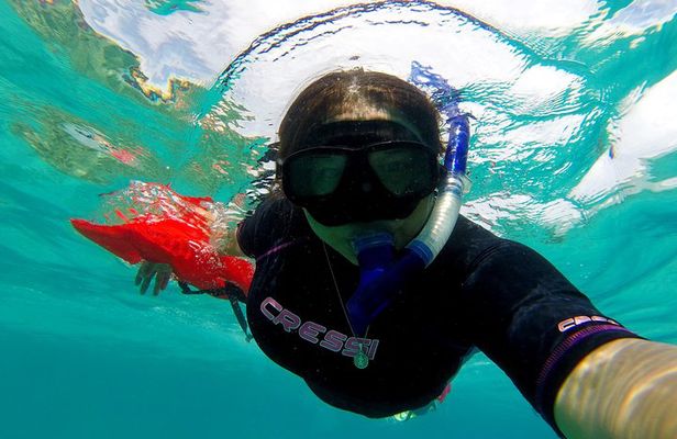 Marietas Islands Snorkeling & Hidden Beach Experience