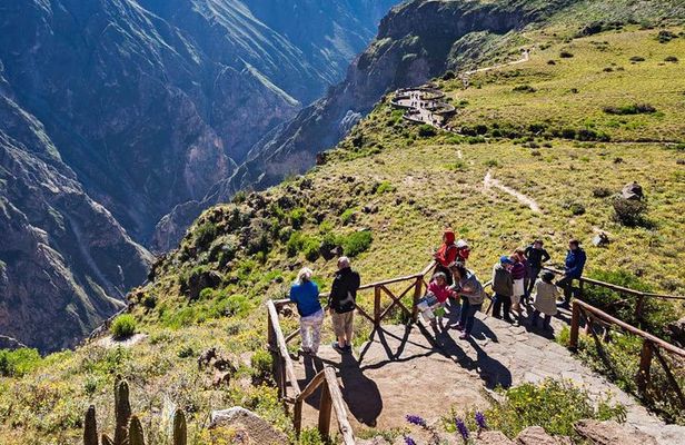 Colca Canyon 2d / 1n and landing in Puno