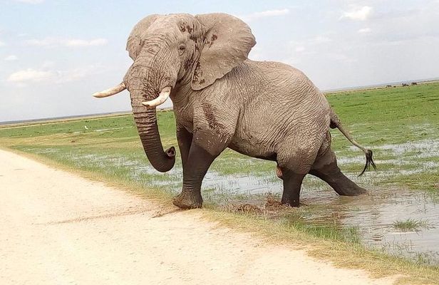 3-day Budget Safari To Maasai Mara