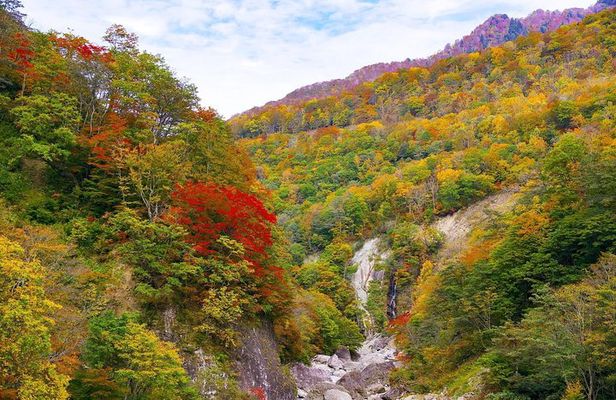 Niigata Private Customizable Full Day Tour