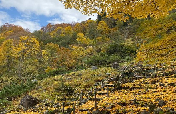 Niigata Private Customizable Half Day Tour