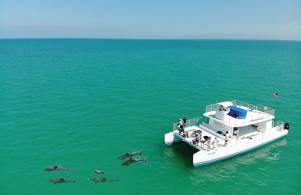Key West Dolphin and Snorkel Experience 