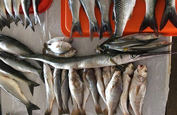 Half-Day Cooking Experience by the Pacific Ocean