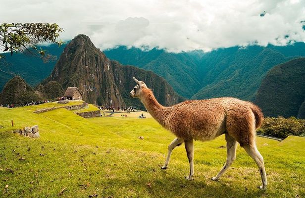 5 Days - Cusco || Sacred Valley || MachuPicchu || Rainbow Mountain ||