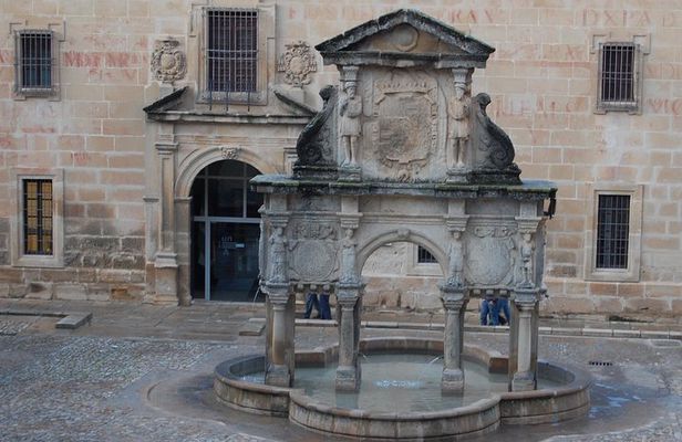 Guided tour of Baeza with entrance Baeza Cathedral