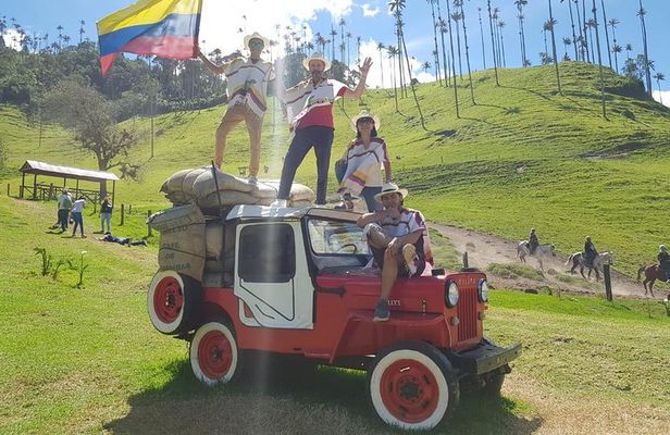 Cocora Valley, Salento and Filandia Full-Day Private Tour