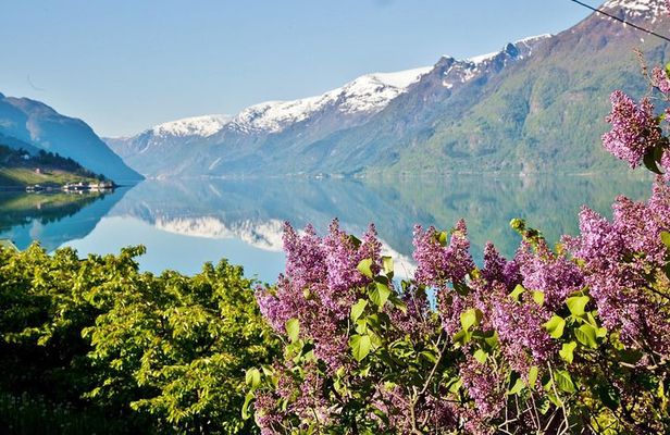 AMAZING HARDANGER FJORD: Private guided round trip from Bergen, 10 hours