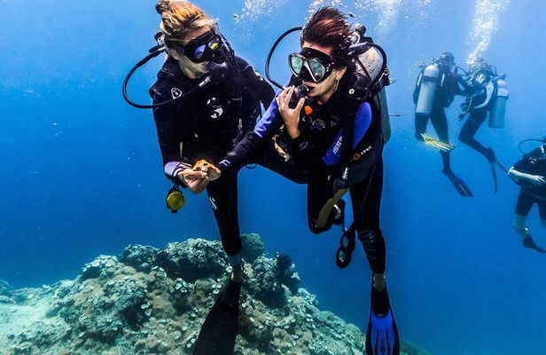 Discover Scuba Diving in Tulamben - Diving Initiation in Bali best diving sites
