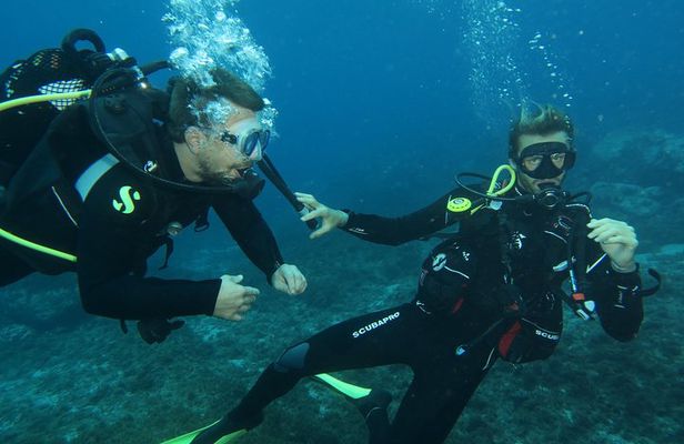 TRY SCUBA DIVING with a Dedicated Instructor