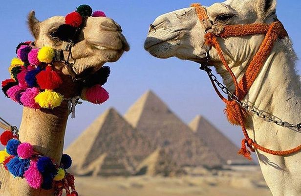 Cairo : Giza Pyramids ,Sphinx , Sakkara & Memphis Full-Day Tour with Camel Ride