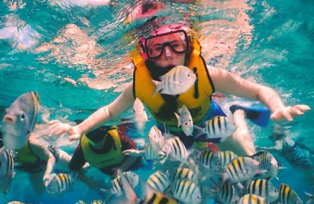 Snorkel and swim in Cozumel el Cielo Reef, Palancar and Colombia