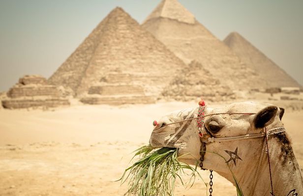 3-Days Private Guided Tour Package to Cairo, Giza and Alexandria