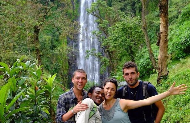 Materuni Waterfalls & Coffee making Cultural Tour | BURIGI CHATO SAFARIS LTD