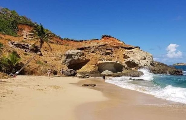 DG Tours - Full-Day Private Tour Experience