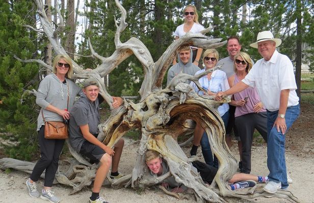 Yellowstone National Park - PRIVATE Full-Day Lower Loop Tour from W. Yellowstone