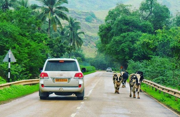 Salalah Mountain Safari Tour 2(Full Day Tour)