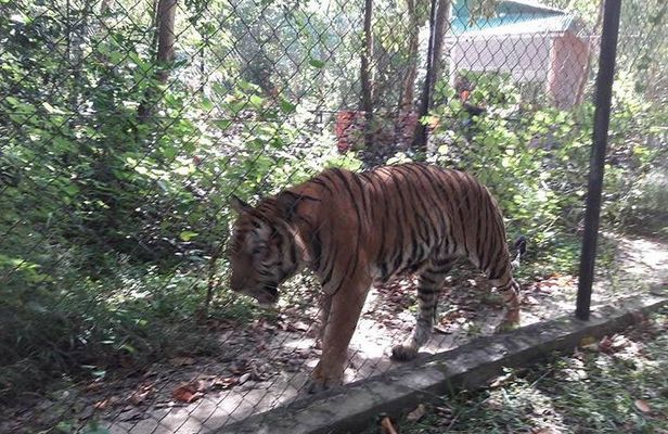 Tamao Mountain and Tonle Bati Private Day Trip from Phnom Penh