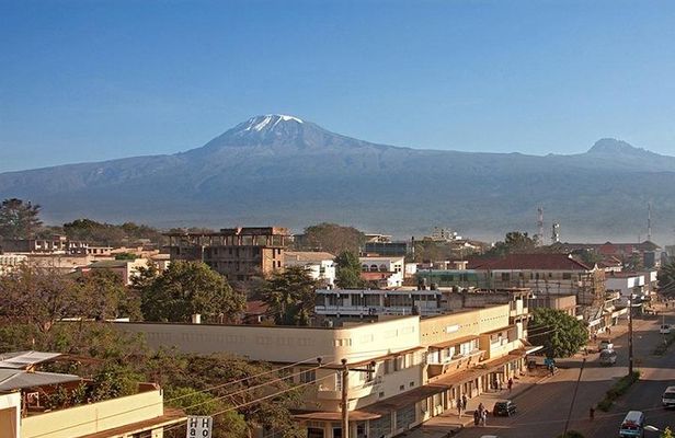 Full-Day Moshi Private Forest Walk and Local Market Tour