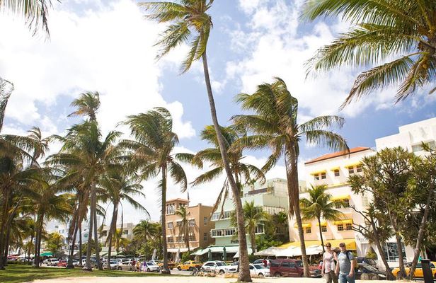 Miami City Tour and Biscayne Bay Cruise with Hotel Transportation