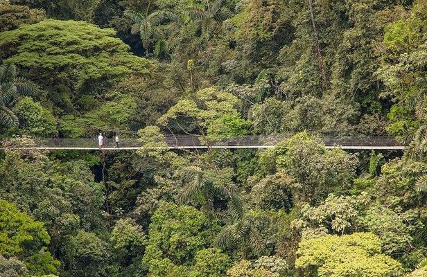Arenal Hanging Bridges, Guided Walk, Hot Springs Optional