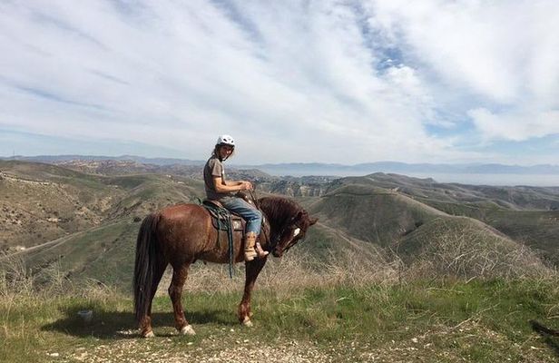 2 Hour Wildflower Horseback Trail Ride experience in Agoura Hills