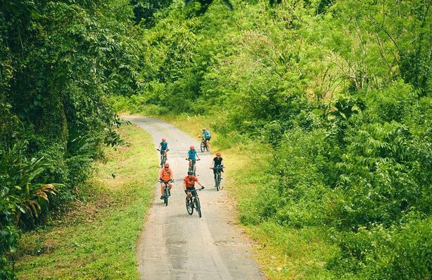 Mountain Bike Lake Arenal and Volcano Backroads