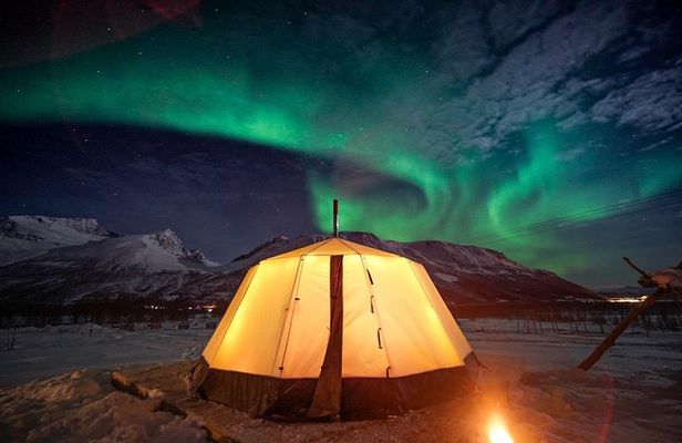 Overnight Stay with Reindeer Sledding & Feeding
