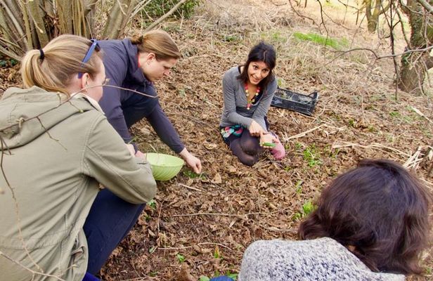 Sustainable Farm Tour & Northern Italian Cooking Class in Asti