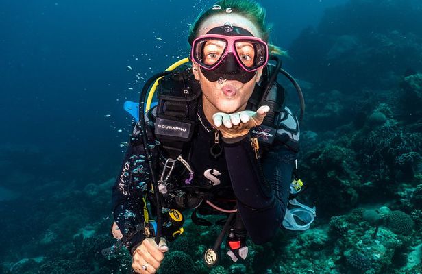 5 Fun Dives in Pemuteran (for certified divers) - Exploration in Menjangan Park