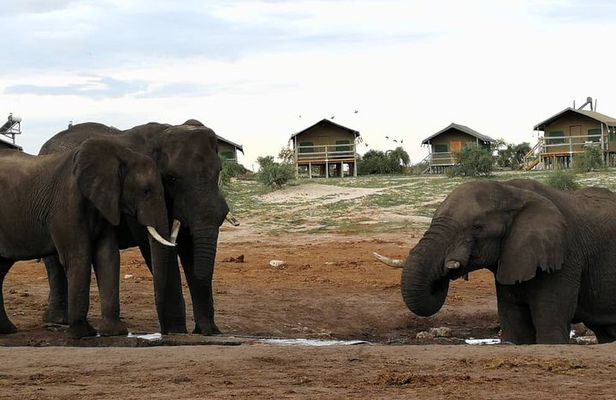 Johannesburg or Gaborone to Victoria Falls 10 Day ACROSS BOTSWANA SmallGroupTour