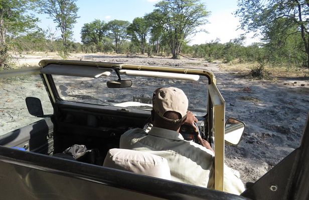 3 Day Wilderness Trail: Moremi, Khwai & East Okavango Delta - WildCamping Safari